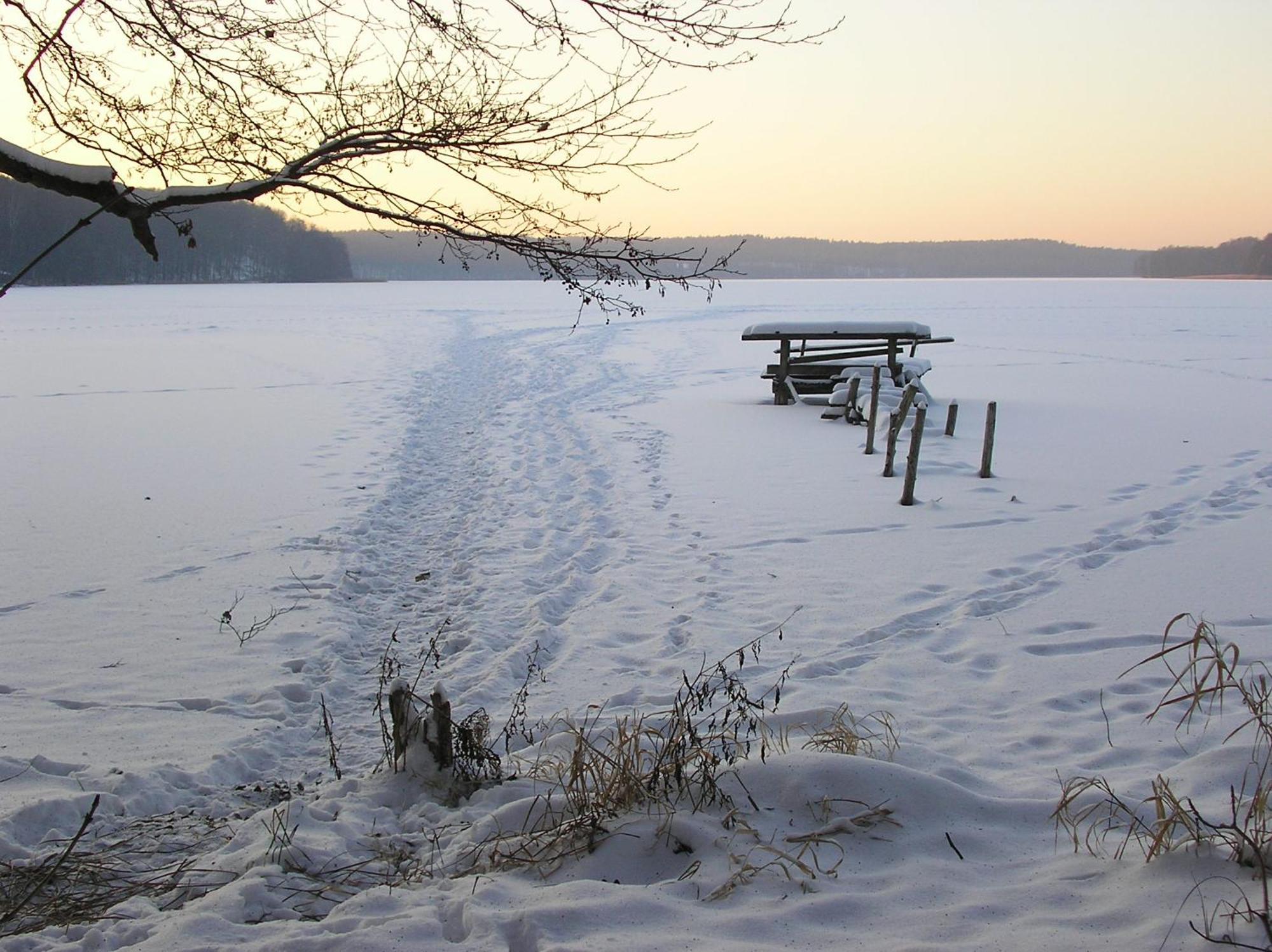 Rzeczna 4 Holiday home *